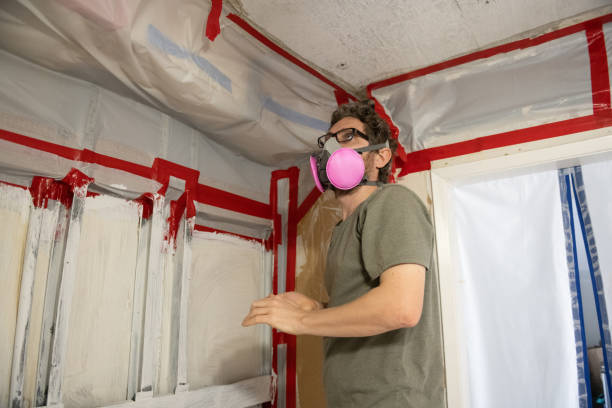 Best Mold Documentation for Insurance Claims  in Lexington, MN