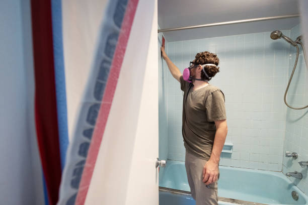 Best Asbestos and Lead Testing During Mold Inspection  in Lexington, MN