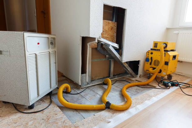Best Air Quality Testing for Mold Spores  in Lexington, MN